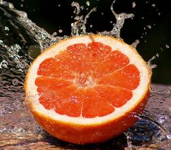 Fruits and diabetes